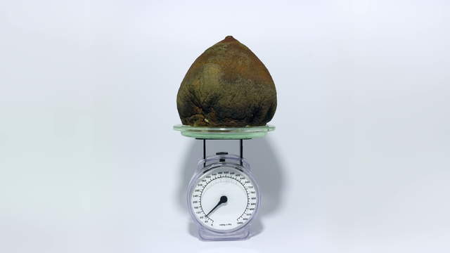 Timelapse Stock Footage Video - Pomelo Grapefruit on Scale | 2422 ...