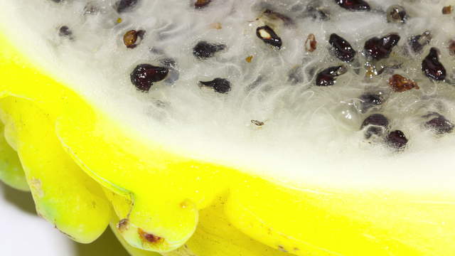 Rotting Yellow Dragonfruit -  Macro