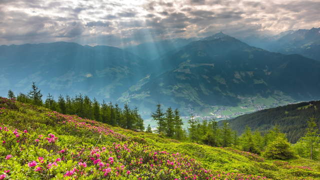 Tyrol Sunrays