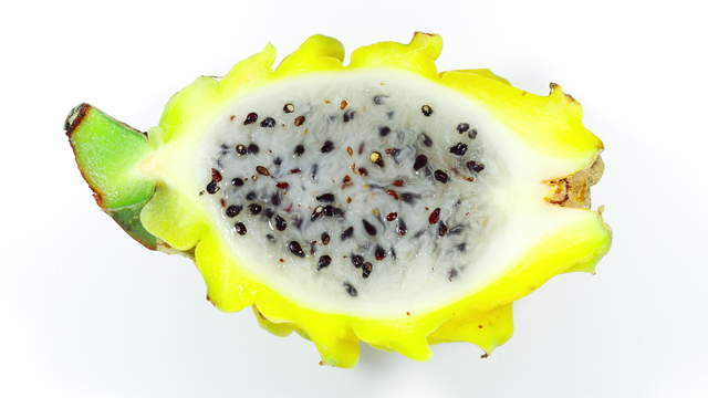 Ants vs Dragonfruit Topview