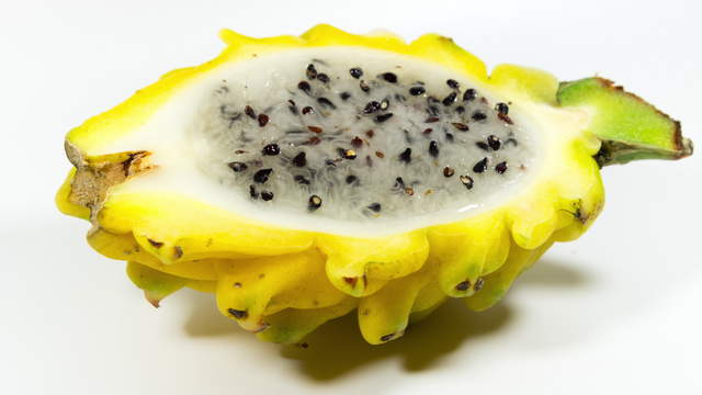 Ants vs Dragonfruit