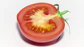 Time lapse clip - Rotting Tomato