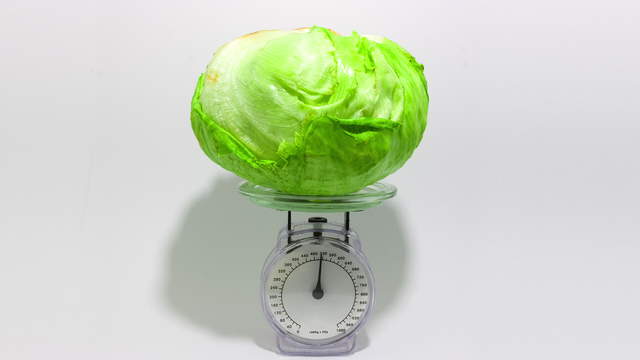 Lettuce on Scale