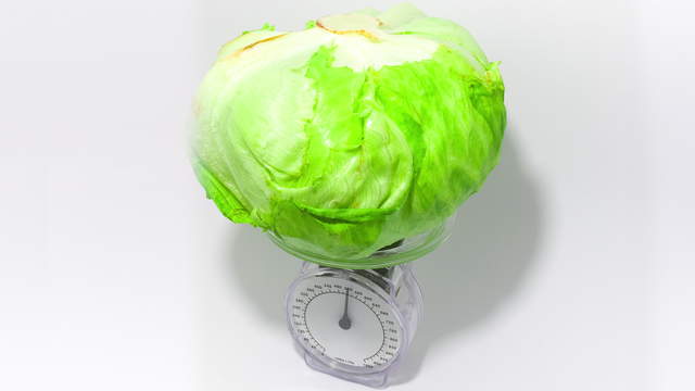 Lettuce on Scale Perspective