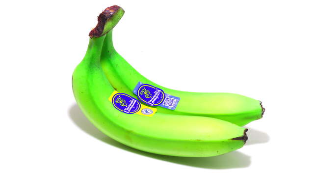 Bananas on Turntable