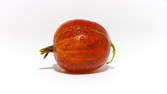 Time lapse clip - Gooseberry