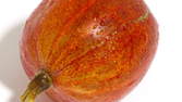 Time lapse clip - Gooseberry Macro
