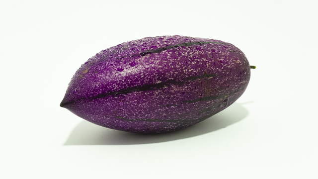 Pepino Melon