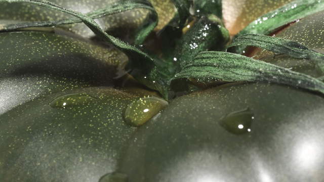 Black Tomato Macro