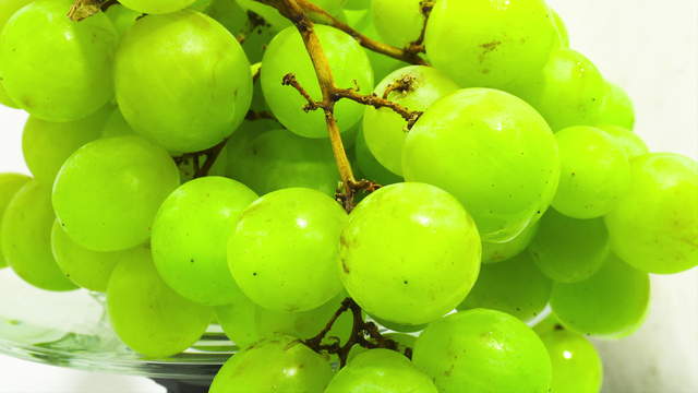 Grapes on Scale Close-Up