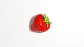Time lapse clip - Crickets Eating Strawberry