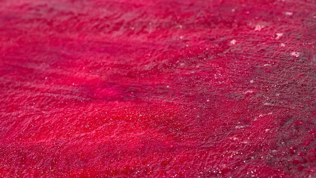 Beetroot Macro