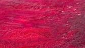 Time lapse clip - Beetroot Macro