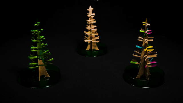 Magic Christmas Trees Camera Move