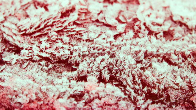Red Fruit Jelly Macro