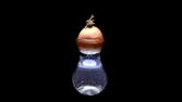 Time lapse clip - Root Growth Onion