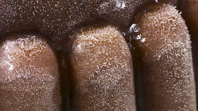 Chocolate Pudding Macro