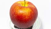 Time lapse clip - Apple On Scale Topview