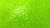 Time lapse clip - Pomelo Grapefruit Macro