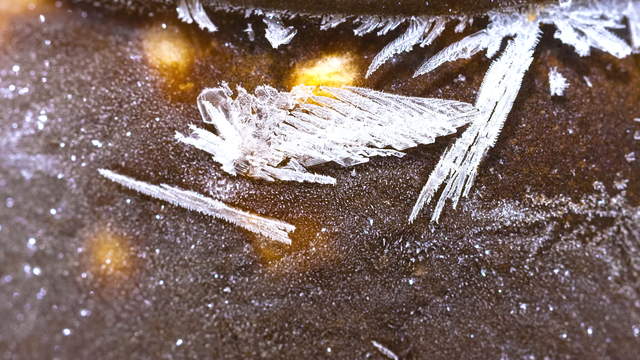 Chocolate Milk Rice Macro