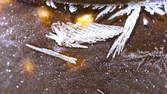 Time lapse clip - Chocolate Milk Rice Macro